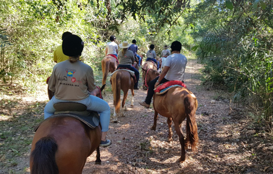 Fazenda 23 de Março - Aquidauana - MS Peão Pantaneiro Peão no Cavalo Cavalo  Pantaneiro Comitiva Comitiva do
